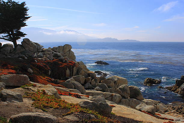 istock Colorful landscape of Pebble Beach, Ca 526594155