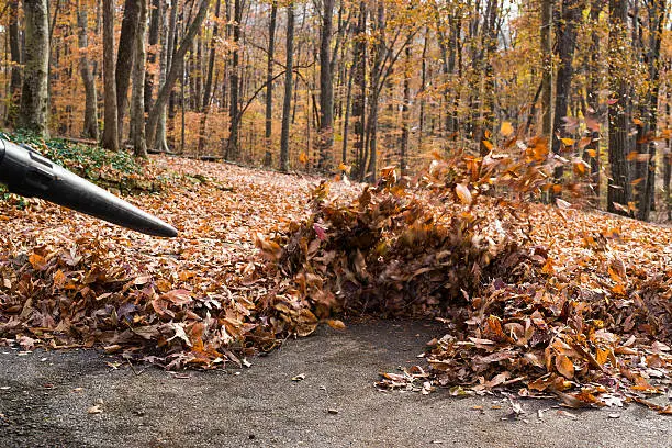 Removing the blanket of leaves from the roadway.