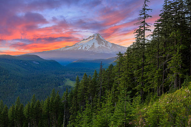 Beautiful Vista of Mount Hood in Oregon, USA. Majestic View of Mt. Hood on a bright, colorful sunset during the summer months. cascade range photos stock pictures, royalty-free photos & images
