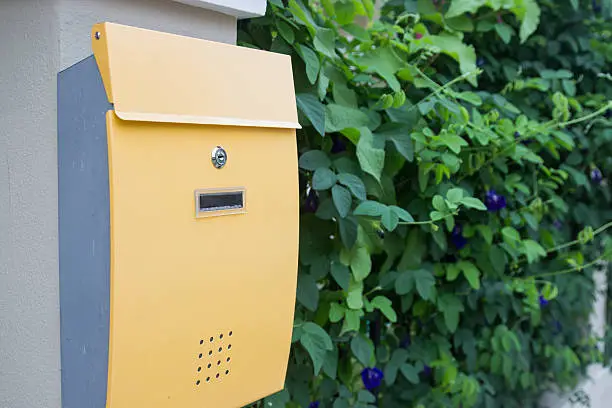 Photo of yellow metal mailbox with green leaves background
