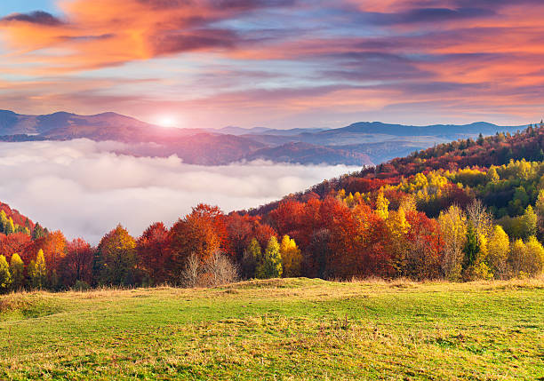 istock Colorful autumn morning in the Carpathian mountains. 526599143