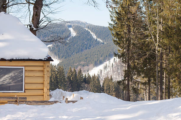 istock Wooden hut in a mountain forest in winter 526600037