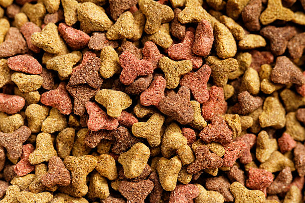 Pet food stock photo