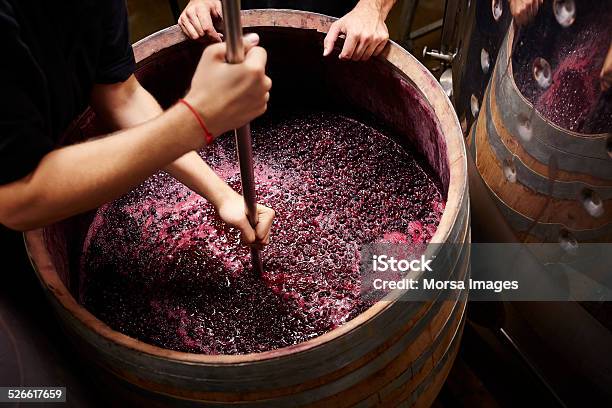 Plunging The Grapes Cap To Extract Color Stock Photo - Download Image Now - Winemaking, Winery, Red Wine