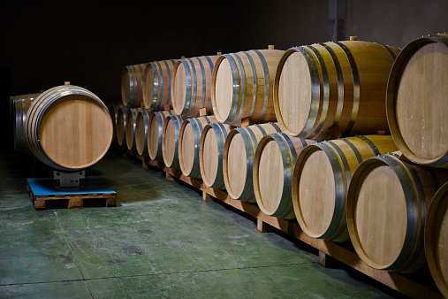 Wine cellar full of French oak wine casks