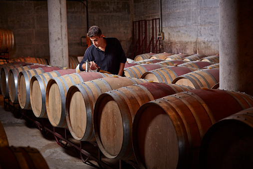 Winery worker fills up barrels in wine cellar