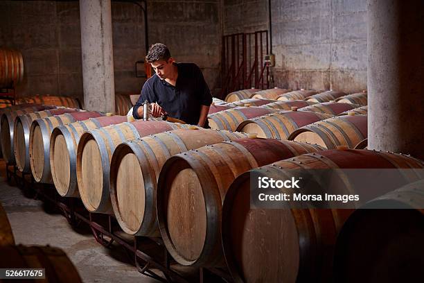 Worker Filling Up The Barrels Stock Photo - Download Image Now - Winery, Winemaking, Wine Cellar