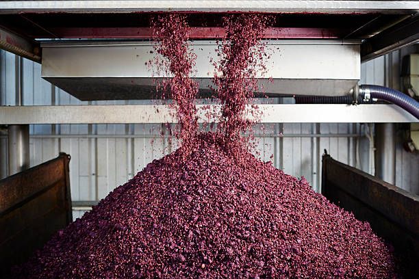 unloading grape skin - winemaking stock-fotos und bilder