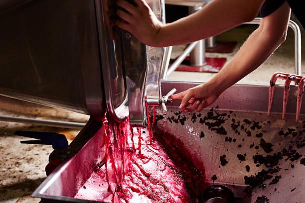 wine draining - winemaking photos et images de collection