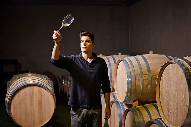 oenologist checking wine color - winery wine cellar barrel fotografías e imágenes de stock