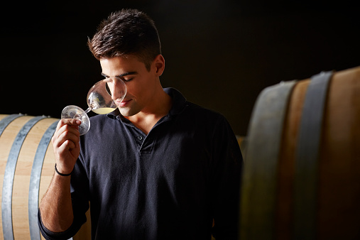 Wine expert smells a wine sample to check quality at wine cellar
