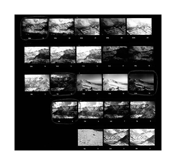 Contact Sheet Contact sheet of old black and white film negatives on traditional photo paper contact sheet photos stock pictures, royalty-free photos & images
