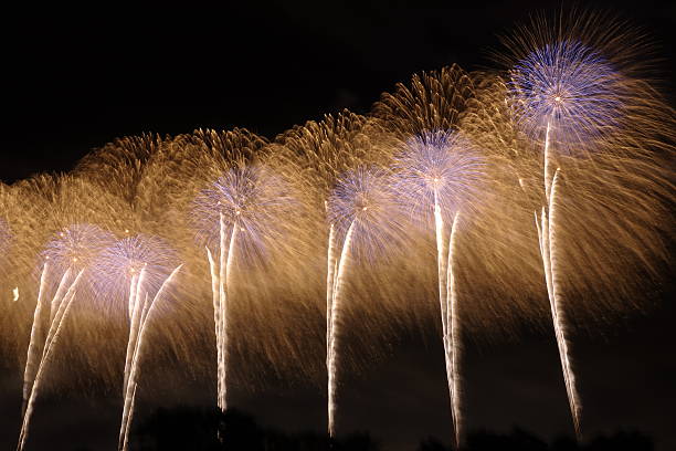 frowers of the night sky stock photo