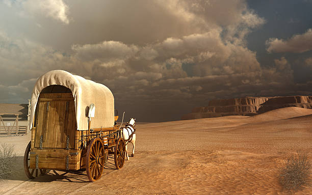 old wagon in the desert - arbetsdjur bildbanksfoton och bilder