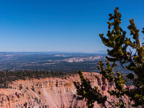 USA, State of Utah. Kane County. Bryce Canyon National Park. Overlook from Rainbow Point. Bryce Canyon National Park is a collection of natural amphitheaters along the eastern side of the Paunsaugunt Plateau. Its rim at varies from 8,000 to 9,000 feet. The Bryce Amphitheater is 12 miles long, 3 miles wide and 800 feet deep. The Paiute Indians believed that the hoodoos (pinnacles) were people whom the gods turned to stone. The area was named after Ebenezer Bryce, who was sent here by the Church of Jesus Christ of Latter-day Saints. He settled in this area in 1874. He pastured his cattle here, and said that these amphitheaters were a 