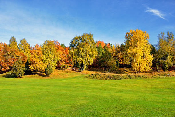 istock beautiful colorful autumn park in sunny day 526641355
