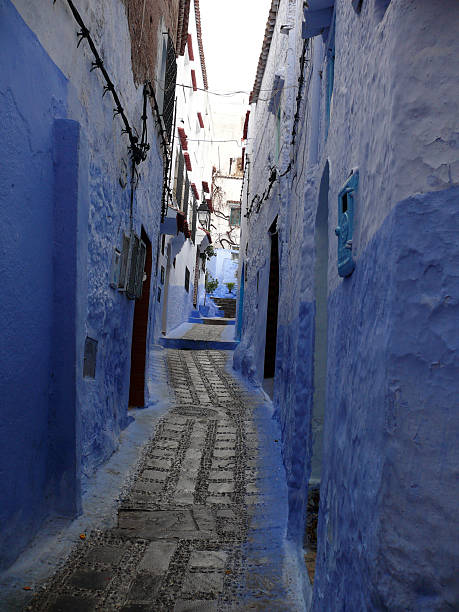 40+ The Blue City Morocco Stock Photos, Pictures & Royalty-Free Images