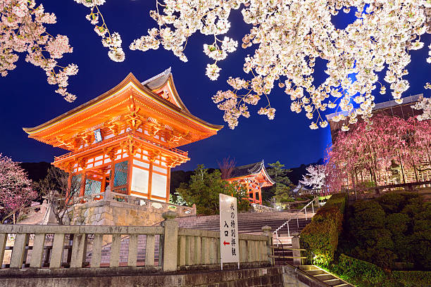 Kyoto, Japan - April 7, 2014: Historic Kiyomizu-dera Shrine at the Niomon entrance gate during the annual spring season night illumination.