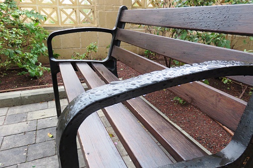 Bench in the rain