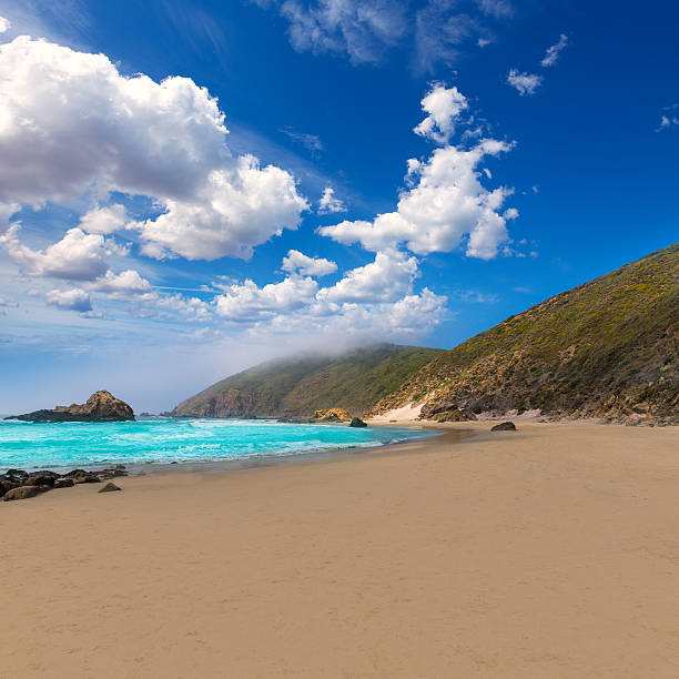 istock California Pfeiffer Beach in Big Sur State Park 526664175