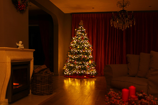 Cozy room with burning fire place and Christmas tree.