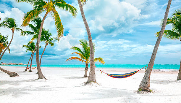 praia de cap cana, república dominicana - travel destinations vacations exoticism beauty in nature - fotografias e filmes do acervo