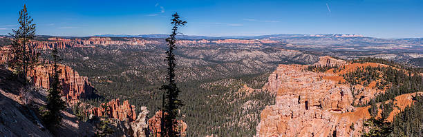 bryce canyon national park. rainbow point (utah, united states) - kane stok fotoğraflar ve resimler