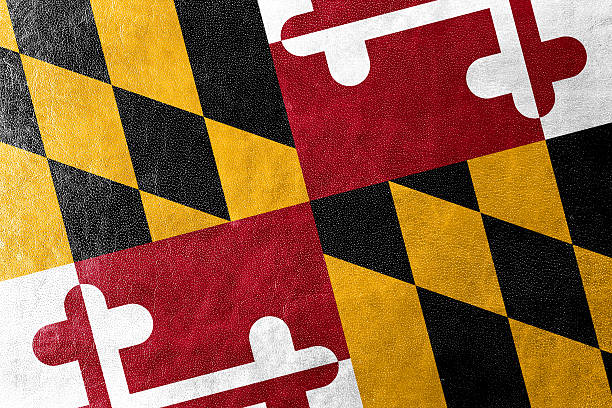 Maryland State Flag painted on leather texture stock photo