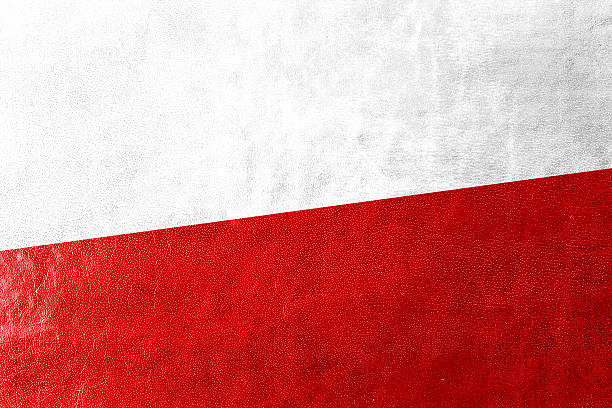 istock Poland Flag painted on leather texture 526669007