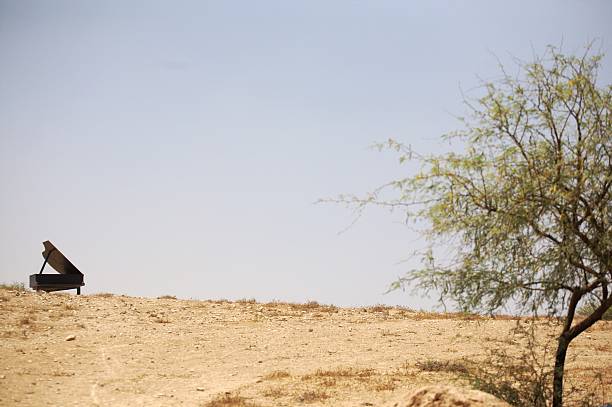 grand piano in the desert