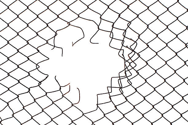 istock center hole in the mesh wire fence 526686925