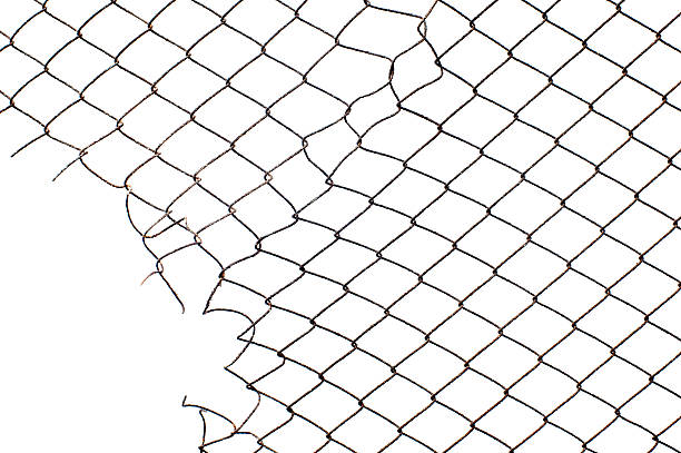 istock corner hole in the mesh wire fence 526686947