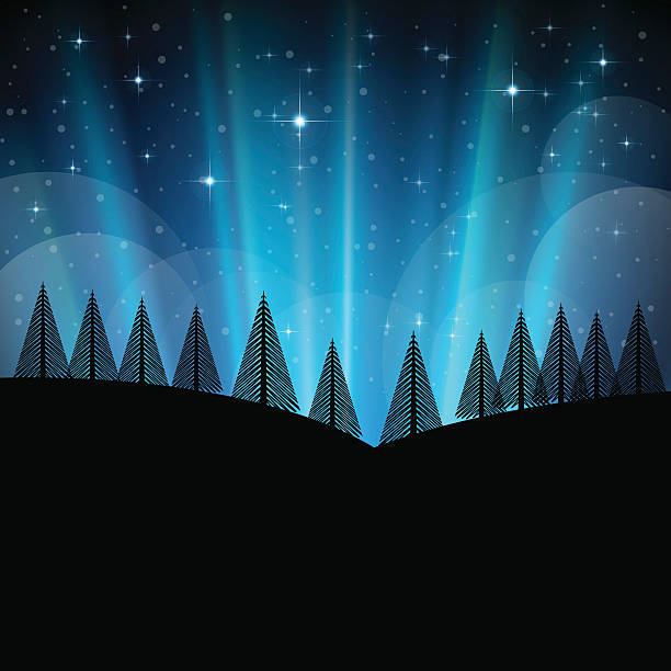 illustrazioni stock, clip art, cartoni animati e icone di tendenza di inverno, paesaggio di natale con la neve e gli alberi di notte - star shape sky star aurora borealis