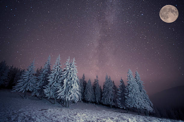 istock Dairy Star Trek in the winter woods 526690197