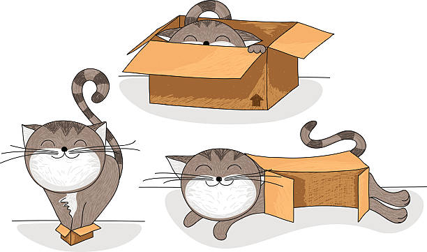 자본가 상자 말풍선이 있는 세트 - cat box stock illustrations