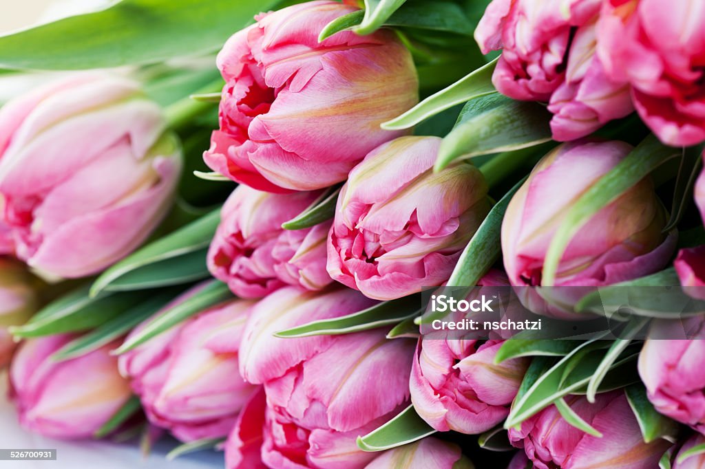 Pink tulips Bunch of beautiful pink tulips on wooden table Arrangement Stock Photo