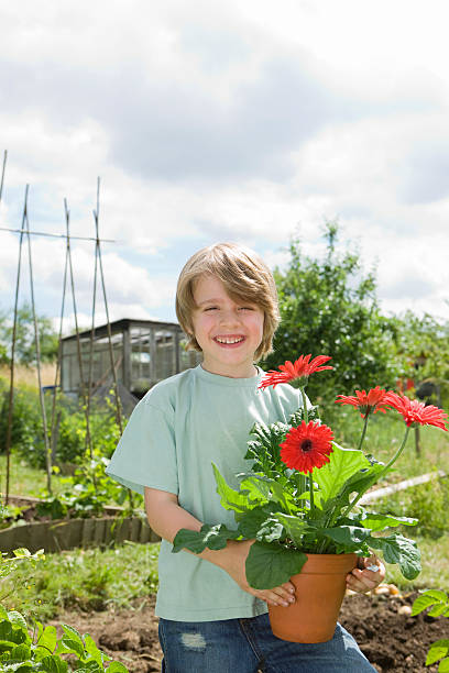 istock Boy Holding Flower Pot In Garden 526702257