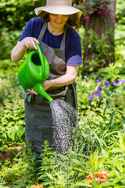 istock Woman watering flowers 526703079