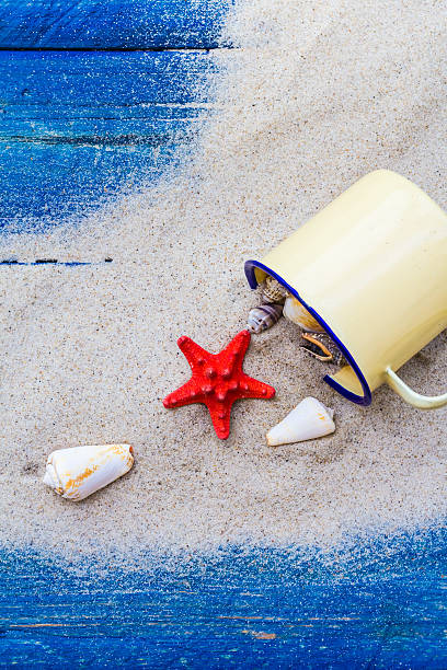istock colorful shells cup sand strewn blue boards 526703359