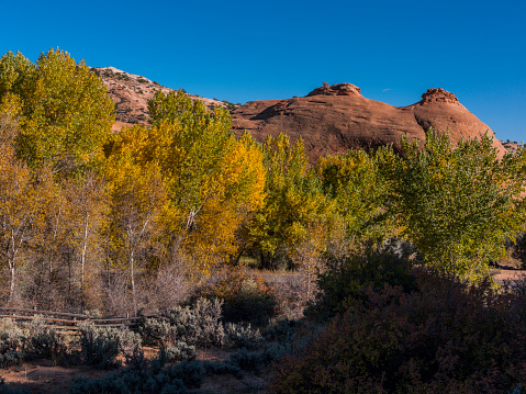 USA, State of Utah. Garfield County. Along the Burr Trail Road near Boulder.