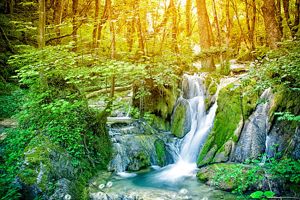 Horizontal composition vibrant color photography of a small strange waterfall stream water in different shape, in deep woods with twisted trees. We distinguish the erosion of the stone over time. Shot in summer with bright sunlight in background.