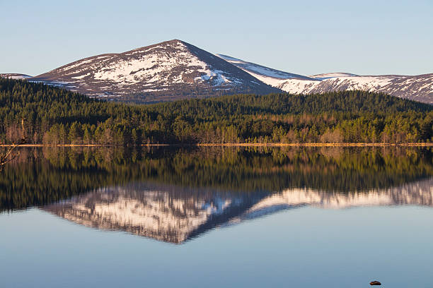 istock Water reflection of icy mountains and green forest 526709112