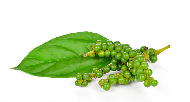 istock Green pepper isolated on white background. 526709688