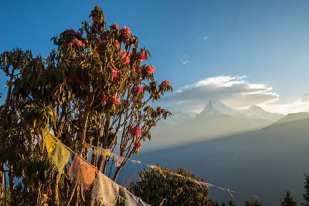 Photo of Annapurna view from Poon Hill.