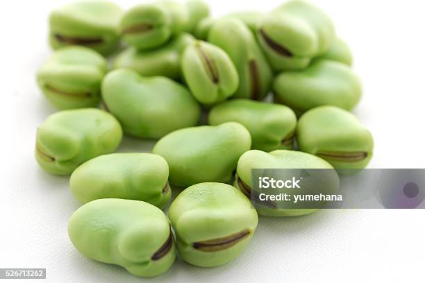 Raw Broad Beans Isolated On White Stock Photo - Download Image Now - Agriculture, Bean, Broad Bean