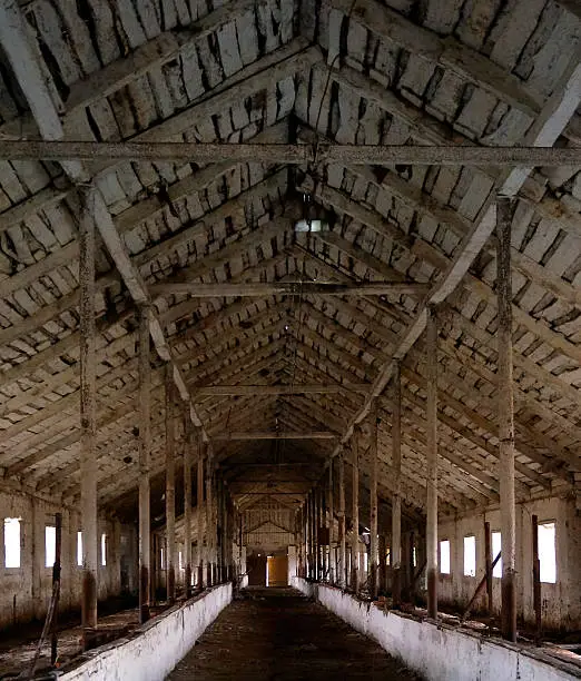 Interior of abandoned barn with beautiful wooden ceiling