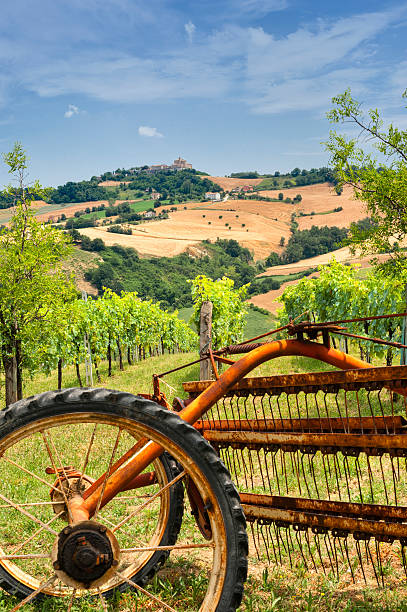 istock Country landscape in Marches (Italy) 526715204