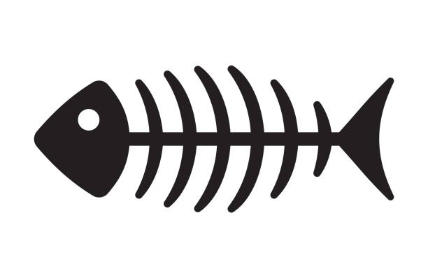 Fish bone vector icon Vector illustration of the Fish bone  icon animal spine stock illustrations