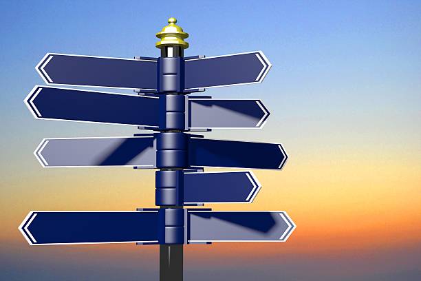 istock 3D signpost with many arrows 526716298