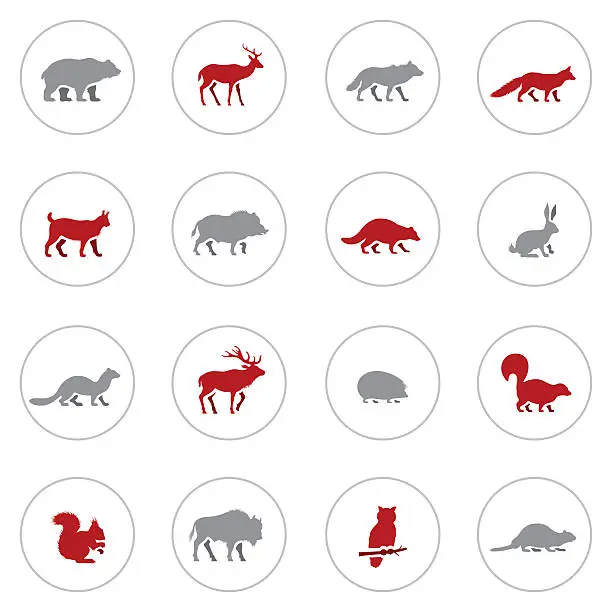 Vector illustration of Wild Animals Icon Set